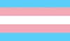 Trans Flag